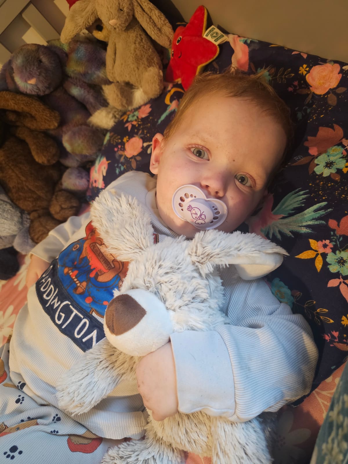 Shropshire toddler fronts Christmas appeal for children with cancer